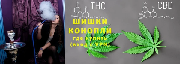 спиды Лиски
