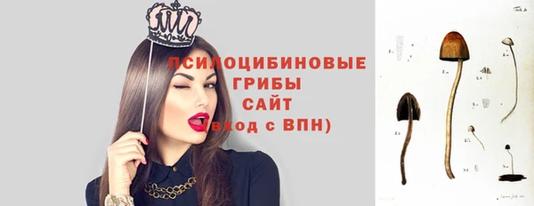 спиды Лиски