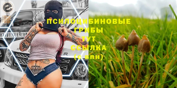 спиды Лиски