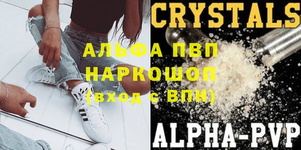 спиды Лиски