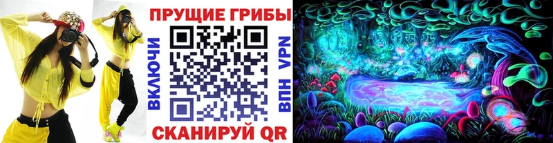 купить наркотики сайты  Гвардейск  Псилоцибиновые грибы прущие грибы 